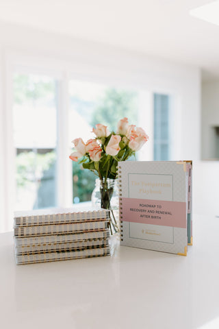 The Postpartum Playbook: Roadmap to Recovery & Renewal After Birth in - Postpartum Book photo