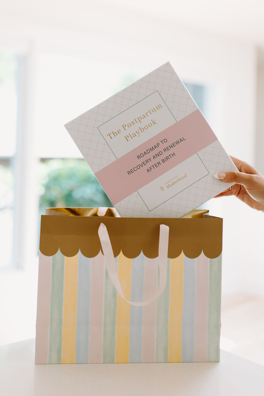 The Postpartum Playbook: Roadmap to Recovery & Renewal After Birth in - Postpartum Book photo