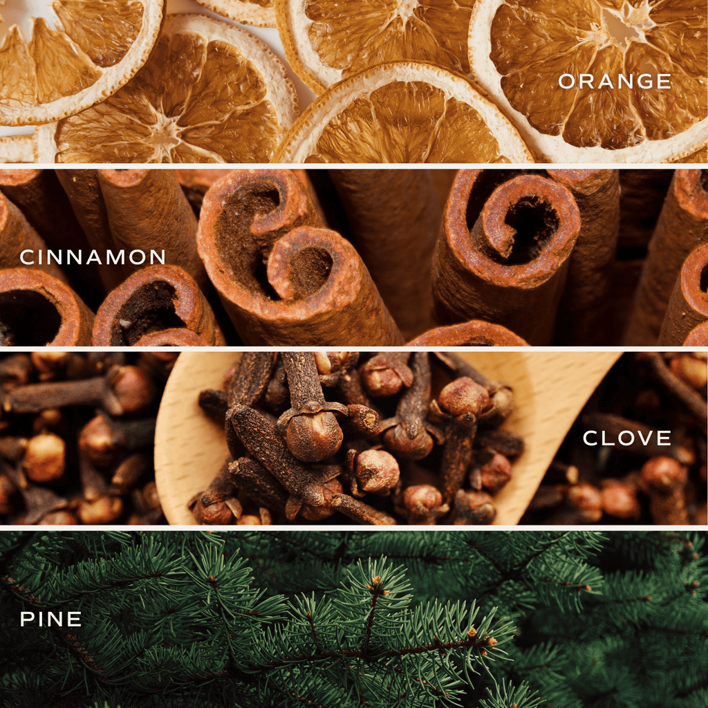 Warm and Cozy Amber Reed Diffuser in - Reed Diffusers photo