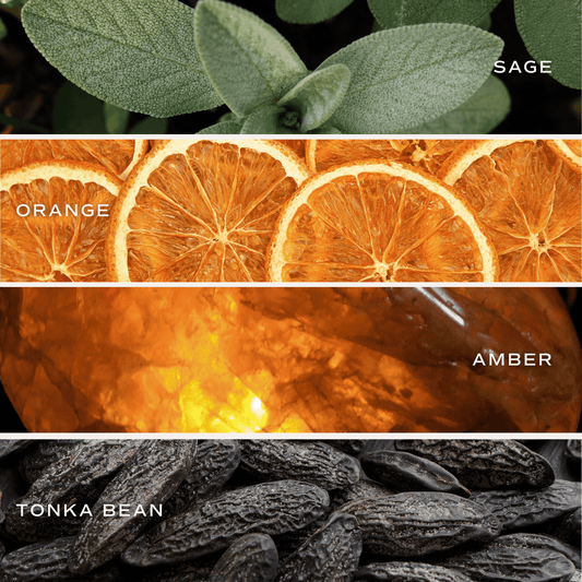 Sweet Water Decor Weekend Clear Reed Diffuser | 3.5oz Scented Oils | Handmade in USA | 4+ Month Scent in - Reed Diffusers photo