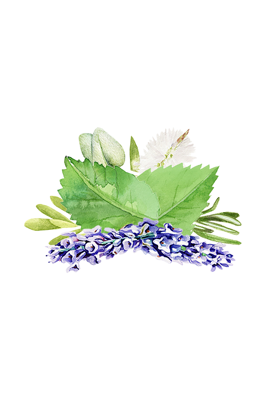 Aromatherapy Blend of Essential Oil -