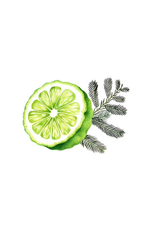 Bergamot & Cypress Essential Oil Blend -