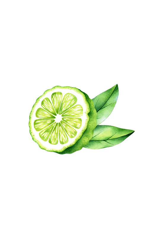 Bergamot Essential Oil -