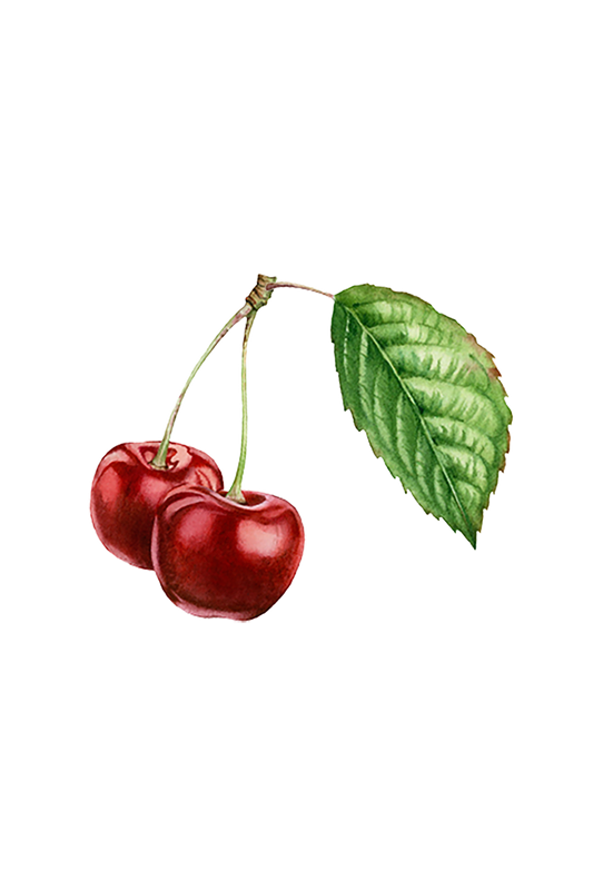 Cherry (Bitter Almond) Essential Oil -