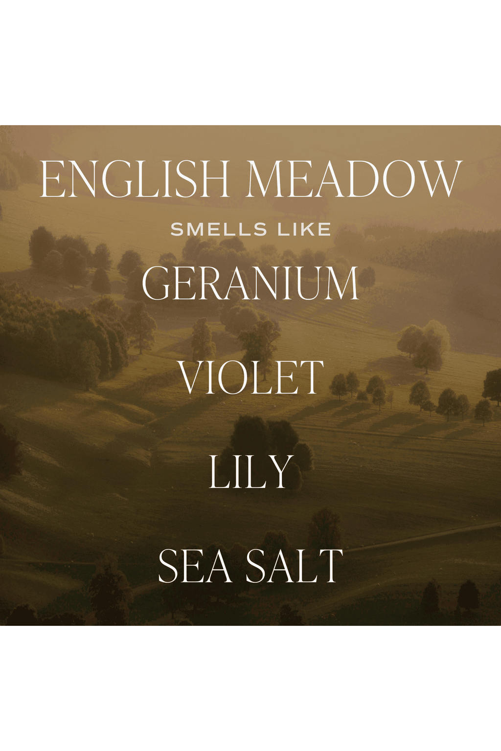 English Meadow Soy Candle - Green Matte Jar - 15 oz (Wildflowers and Salt) - SwagglyLife Home & Fashion
