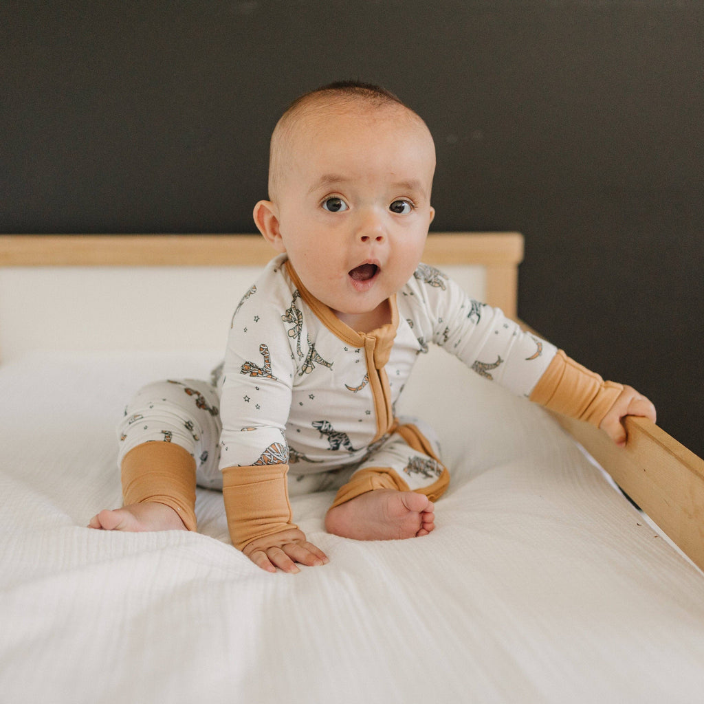 Mummy-Saurus Rex Bamboo Sleeper in - photo