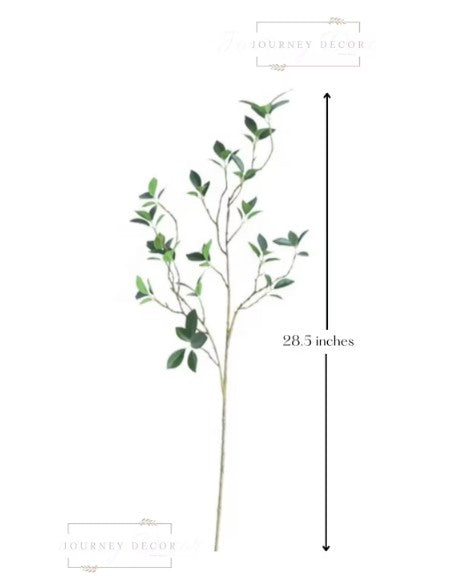 Real Touch Fiscus Microcarpa Stem - Bundle of 4 Stems in - Florals photo