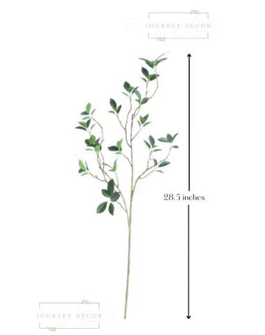 Real Touch Fiscus Microcarpa Stem - Bundle of 4 Stems in - Florals photo