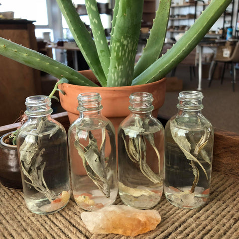 Organic Energy Cleansing Spray / Smudge Spray / Space Clearing / Energy Cleansing / Aura Cleansing / Purifying / Cleanse Negative Energy / in - Home photo