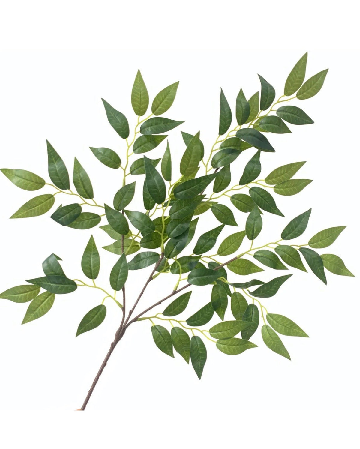 Artificial Real Touch Ash Tree Stem - Bundle of 4 in - Florals photo