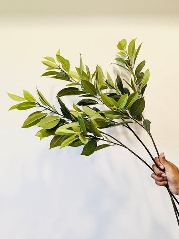 Artificial Bay Leaf Stems - Bundle of 4 in - Florals photo