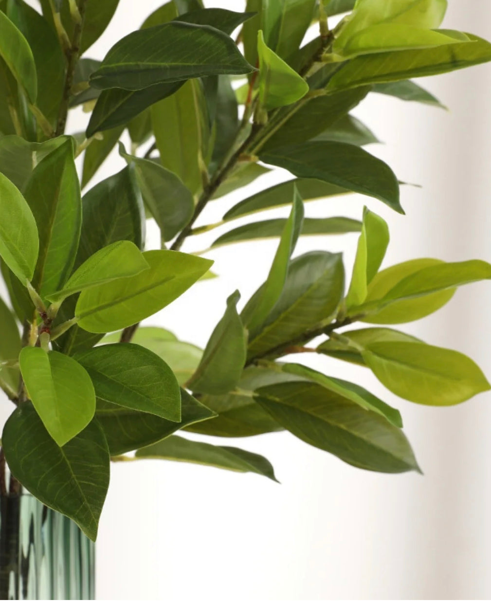 Artificial Bay Leaf Stems - Bundle of 4 in - Florals photo