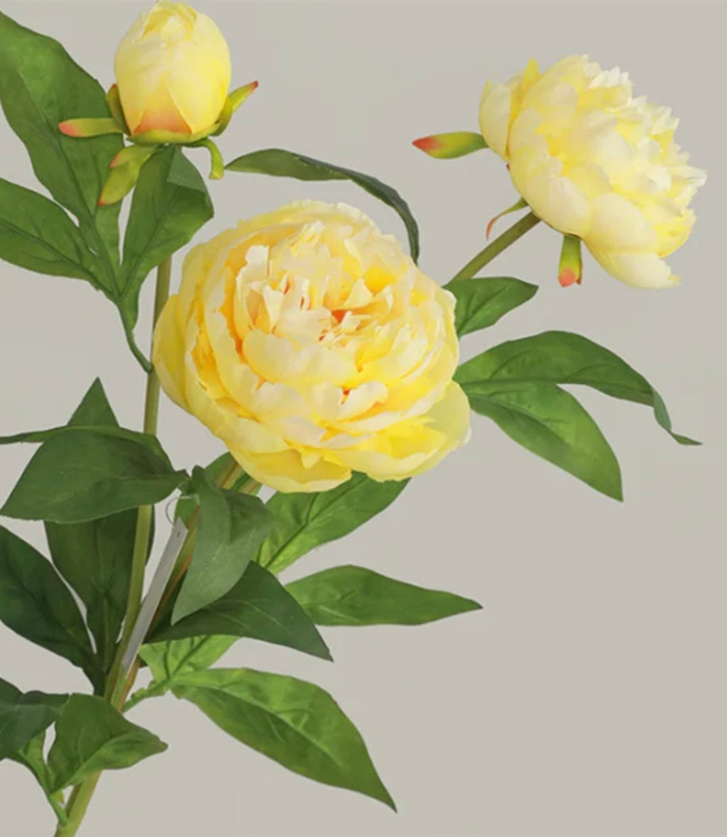 Realistic Artificial Peony - Bundle of 3 in Yellow- Bundle of 3 stems - Florals photo