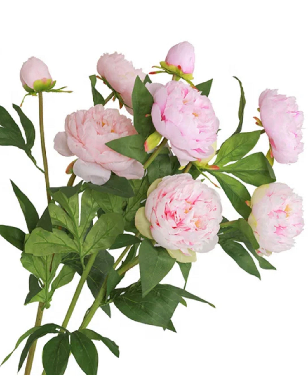 Realistic Artificial Peony - Bundle of 3 in - Florals photo