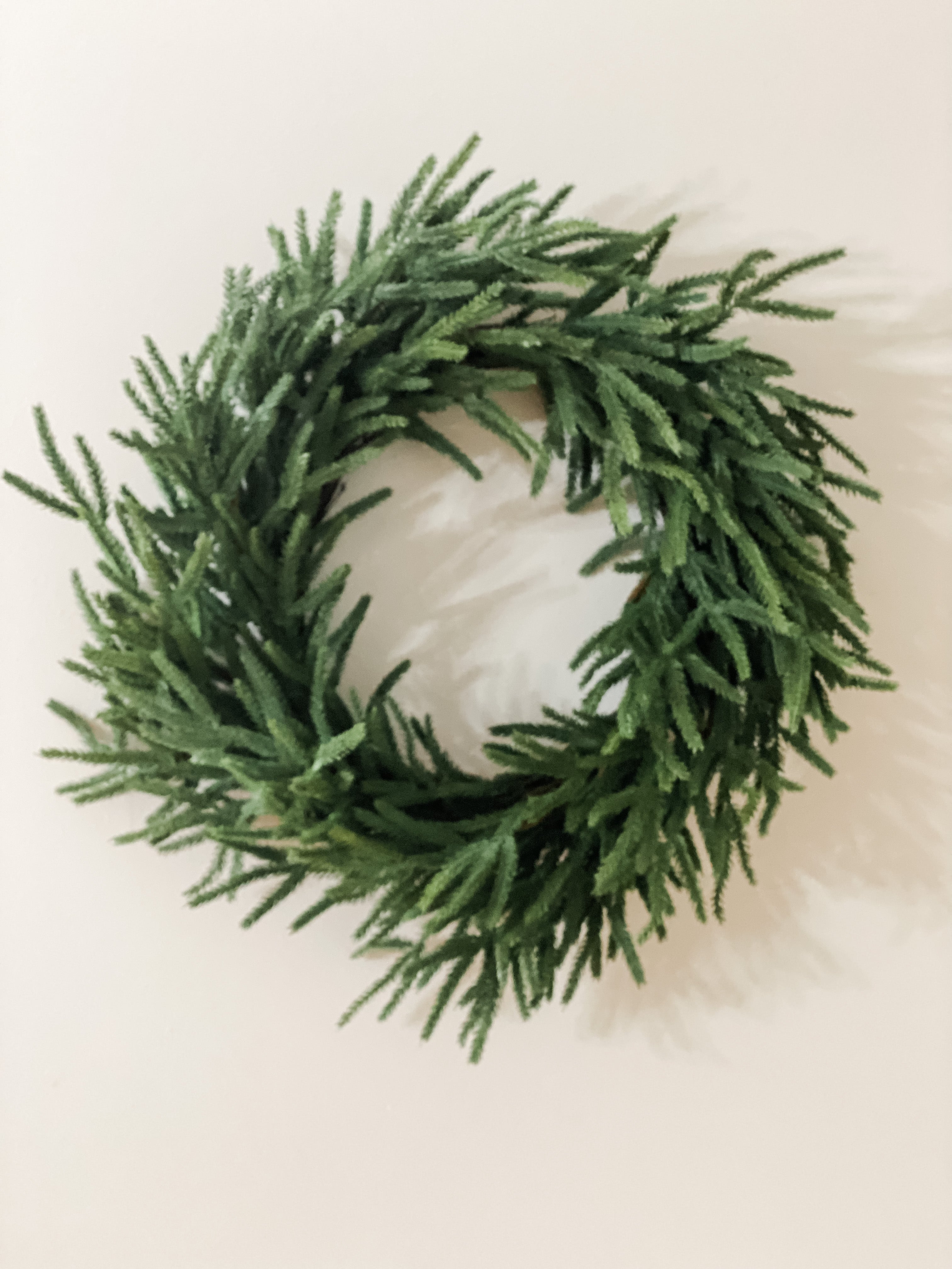 Real Touch Norfolk Pine Winter Wreath - SwagglyLife Home & Fashion