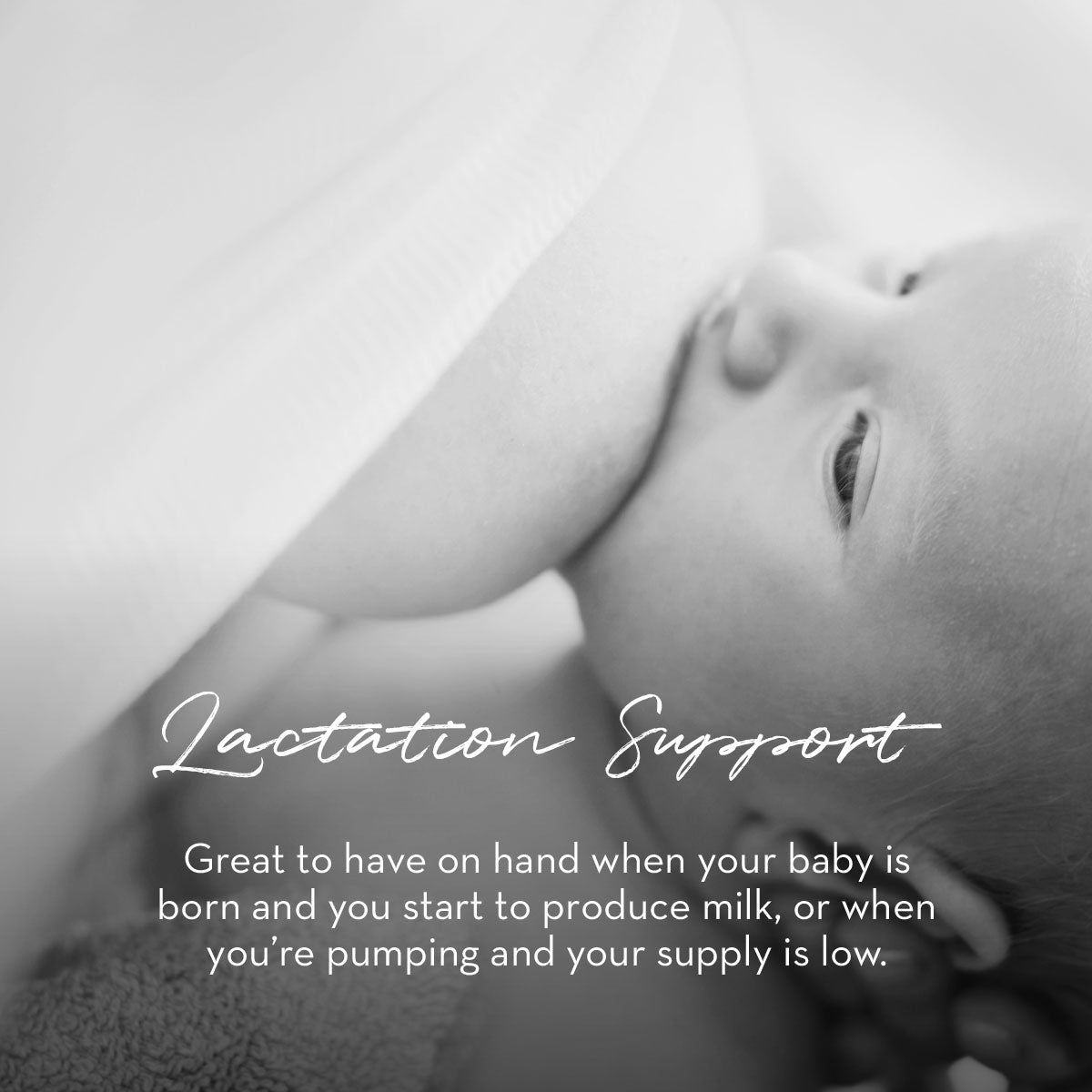 Breastfeeding Bundle - Breastfeeding Tea + Lactation Support in - Lactation Supplement> lactation support > more milk plus > increase breastmilk > increase milk supply > nursing tea > herbs to increase breast milk photo
