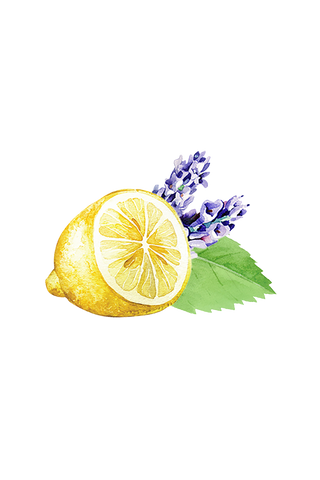 Lavender, Lemon & Mint Essential Oil Blend