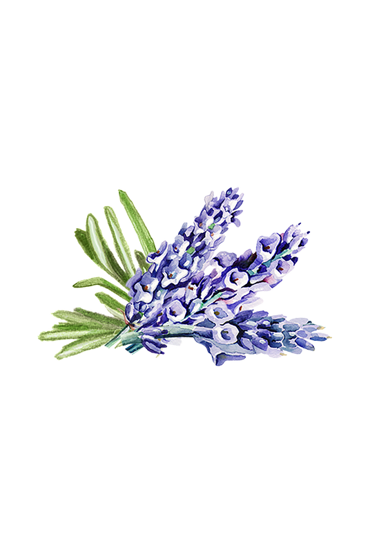 Lavender & Rosemary Essential Oil Blend -