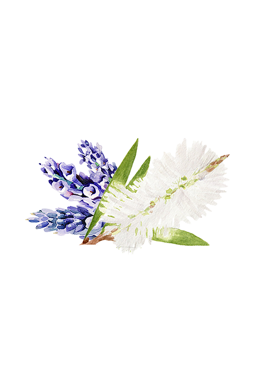 Lavender & Tea Tree Essential Oil Blend -