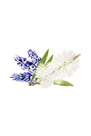 Lavender & Tea Tree Essential Oil Blend