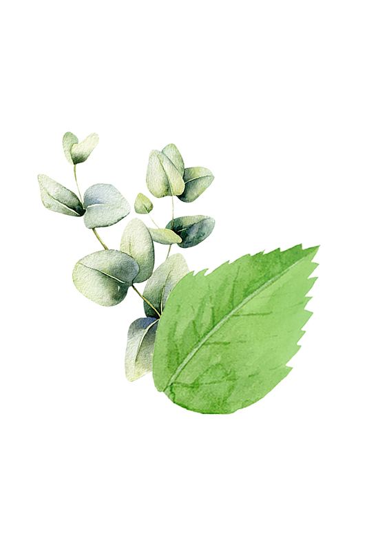 Mint & Eucalyptus Essential Oil Blend -