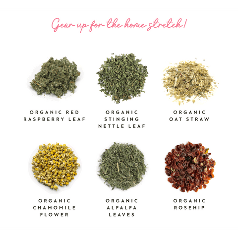Bottom of the 9th Herbal Labor Prep Tea