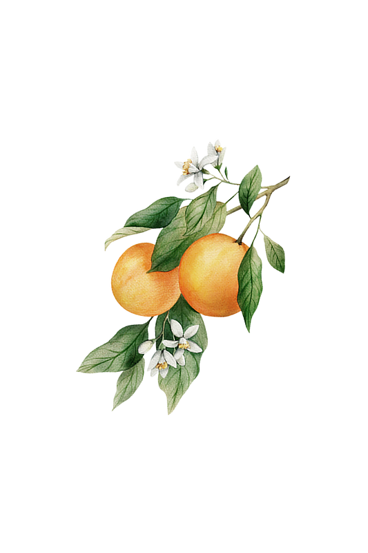 Orange Essential Oil -