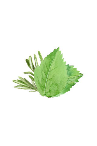 Rosemary & Mint Essential Oil Blend