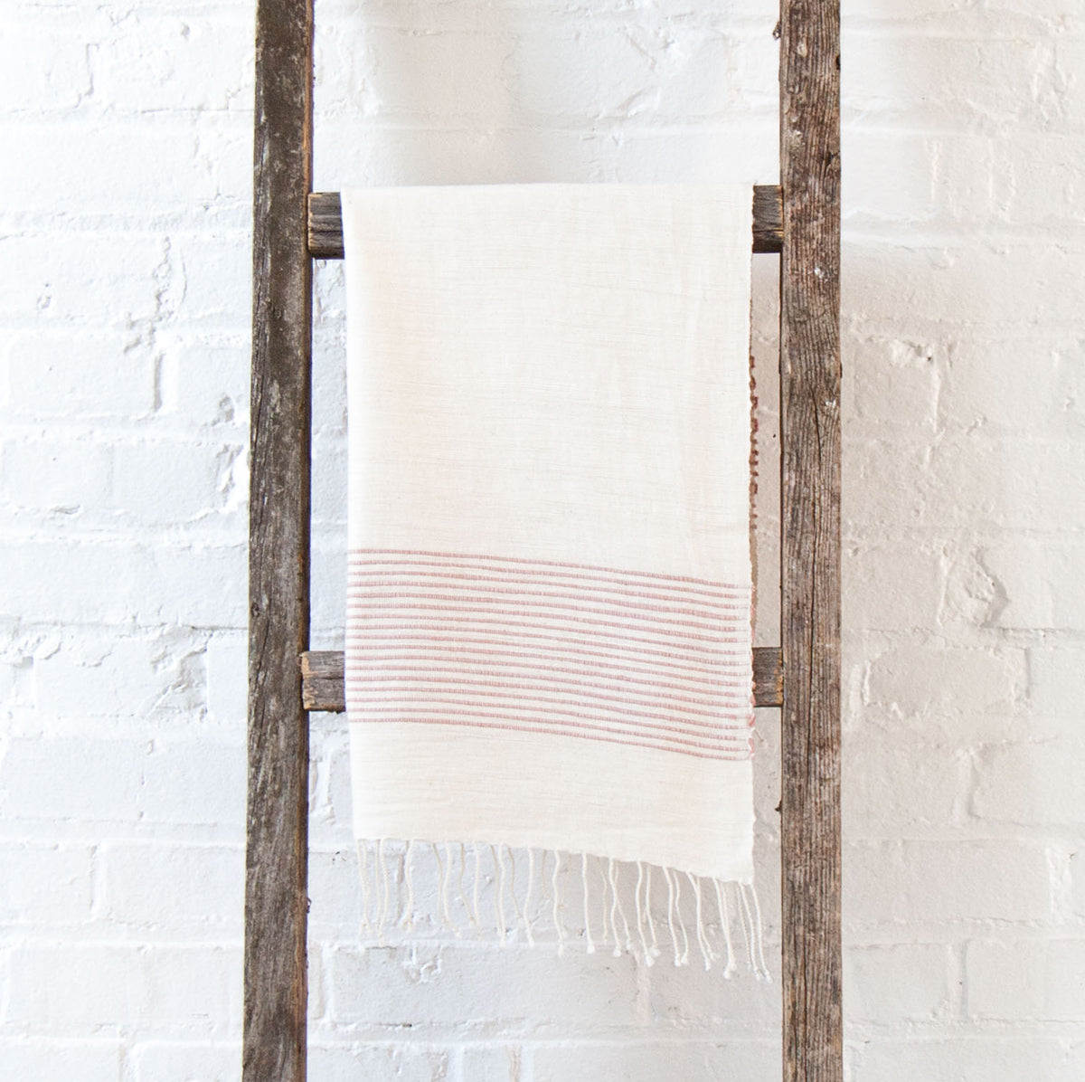 Riviera Cotton Hand Towel in - Kitchen Towels photo