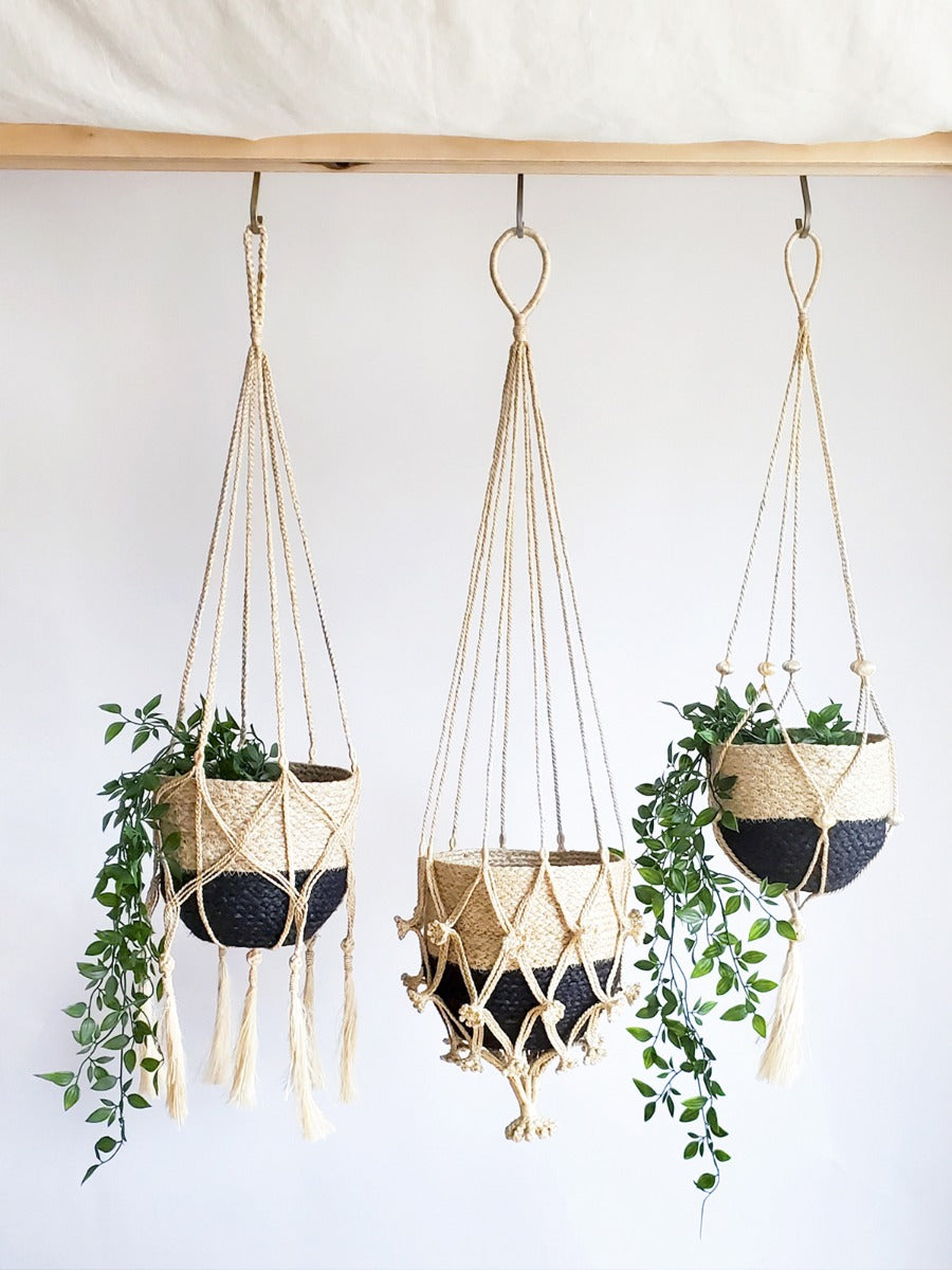 Plant Hanger - Bitan in - PLANT DECOR photo