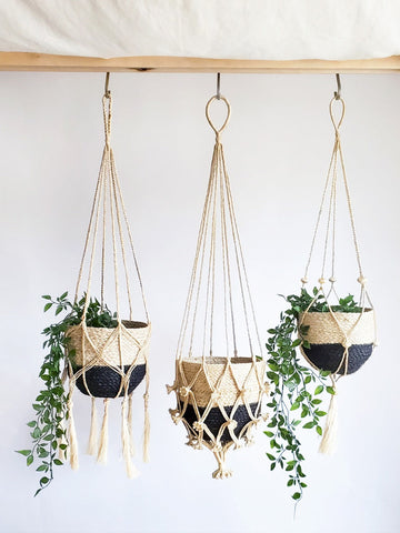 Plant Hanger - Bitan in - PLANT DECOR photo