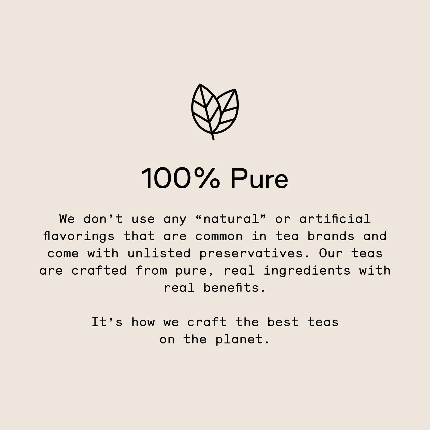 The Crowd Pleaser in - Black Tea photo