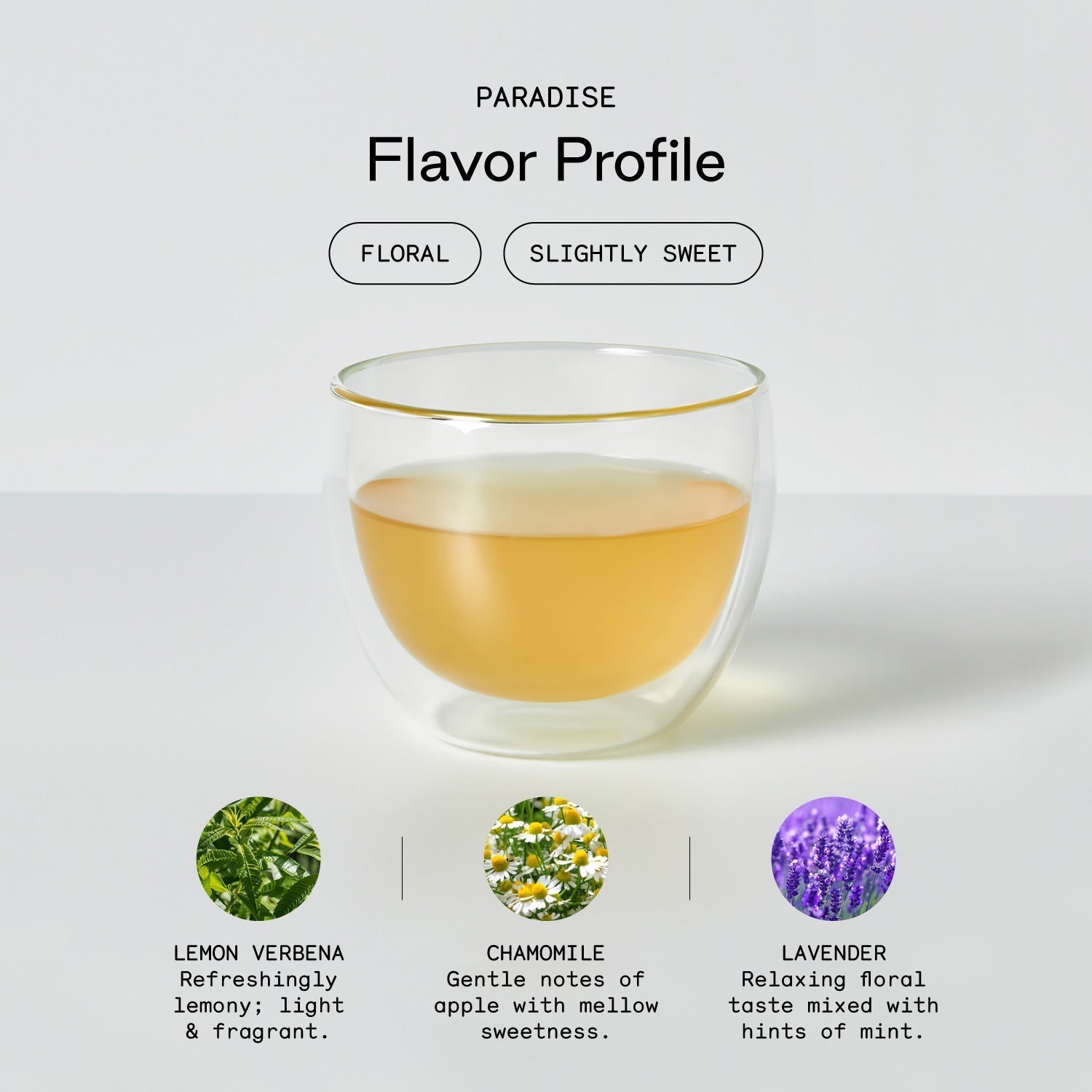 Ultimate Iced Tea Kit in - Bundle photo