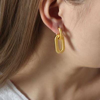 Blaire Titanium steel Dangle Earrings in - Earrings photo