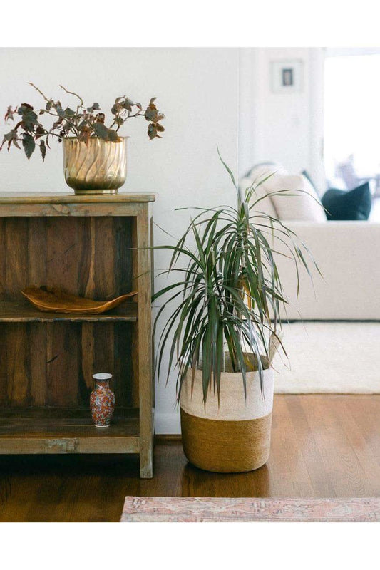 Prado Hanging Basket in - Baskets photo